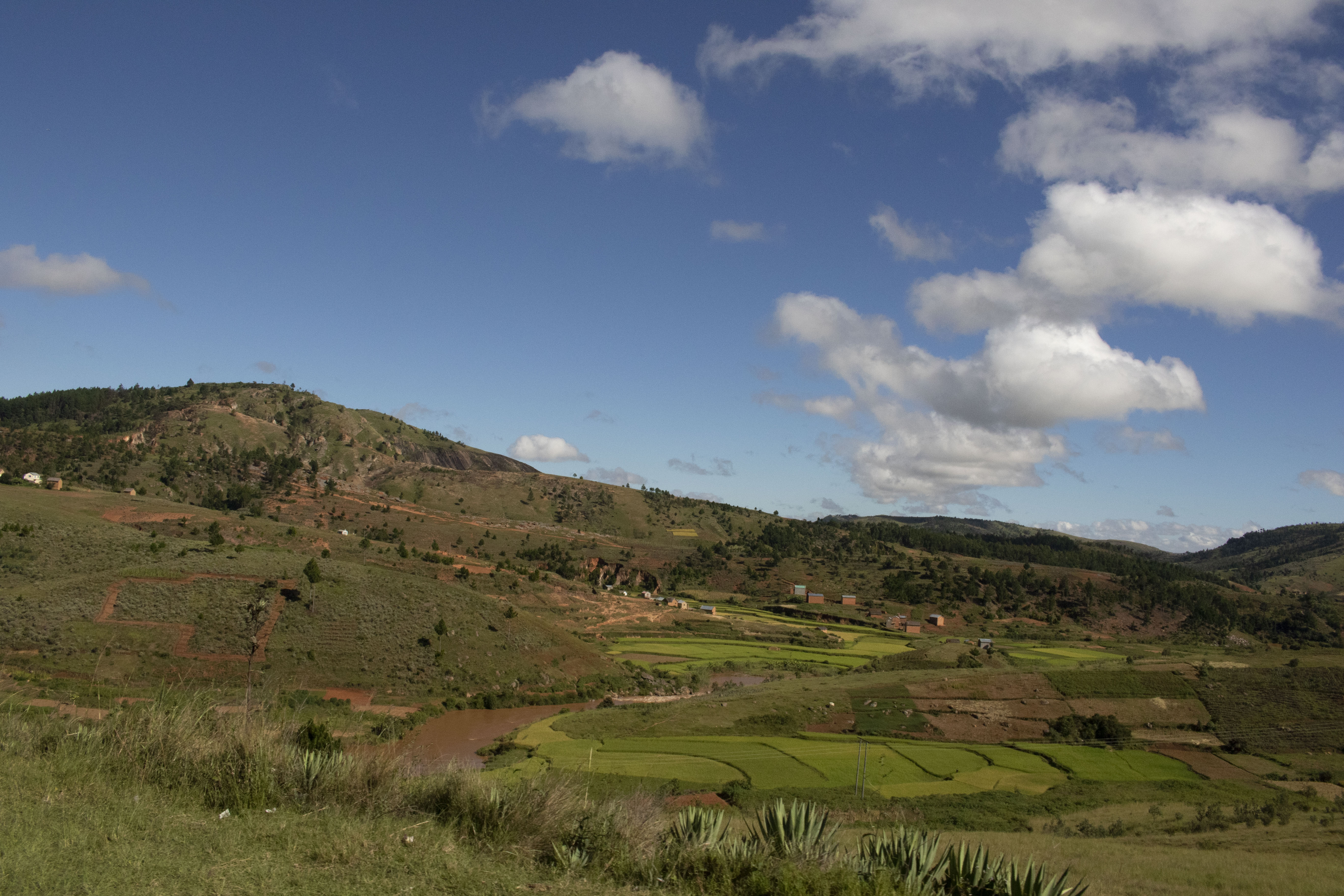 Another Madagascar Landscape