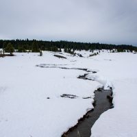 Yellowstone National Park (part 2): Still Snowy in May