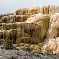 Yellowstone National Park (part 7): Mammoth Hot Springs and Terraces